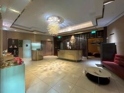 Furama Riverfront (D3), Retail #638371731
